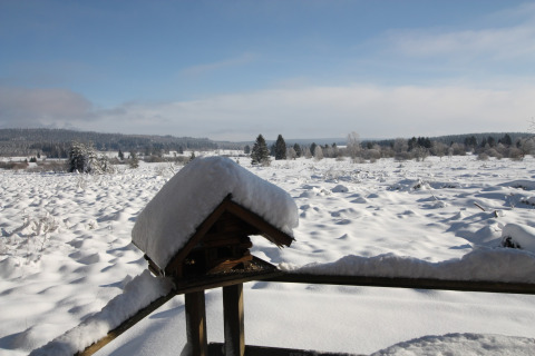 Uitzicht op het besneeuwde landschap vanaf chalet La Cabane in België met een besneeuwde vogelvoederhuisje.