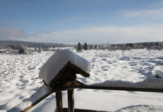 Uitzicht op het besneeuwde landschap vanaf chalet La Cabane in België met een besneeuwde vogelvoederhuisje.