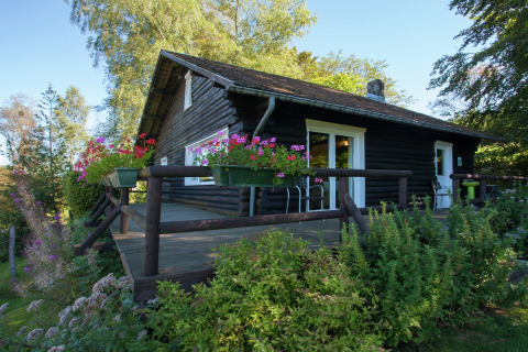 Blockhaus Les Muguets in Belgien mit blumengeschmückter Terrasse, eingebettet in Natur und Bäume.