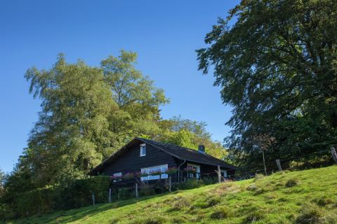 Das Chalet 'Les Muguets' in Belgien liegt idyllisch zwischen üppigen Bäumen und grünem Rasen im Sonnenschein.