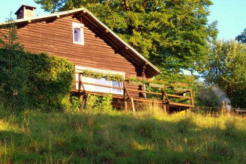 Chalet 'Les Muguets' in Belgien mit Blumen auf der Terrasse, umgeben von grünem Gras und Bäumen.