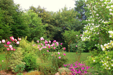 Bunter Blumengarten mit Rosen und üppigem Grün, aufgenommen am Chalet 'Les Muguets' in Belgien.
