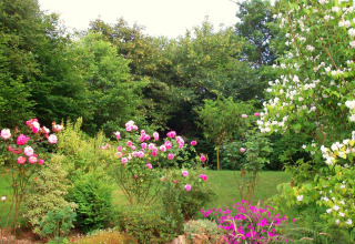 Bunter Blumengarten mit Rosen und üppigem Grün, aufgenommen am Chalet 'Les Muguets' in Belgien.