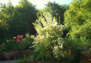 Blühender Garten beim Chalet „Les Muguets“ in Belgien mit weißen und rosa Blumen unter grünen Bäumen.
