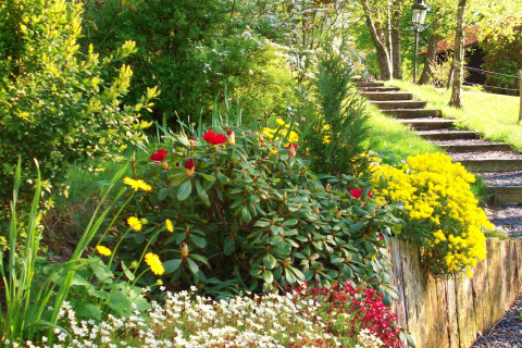 Bunter Garten am Chalet 'Les Muguets' in Belgien mit Blumenbeet, Treppenaufgang und grüner Umgebung.