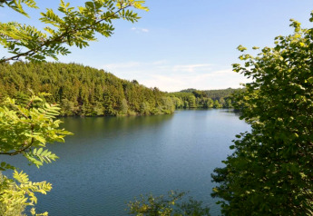 Vista dal lodge Manonfa in Belgio su un lago tranquillo circondato da una verde foresta rigogliosa.