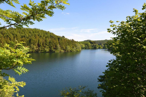 Vista dal lodge Manonfa in Belgio su un lago tranquillo circondato da una verde foresta rigogliosa.