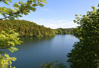 Vista dal lodge Manonfa in Belgio su un lago tranquillo circondato da una verde foresta rigogliosa.