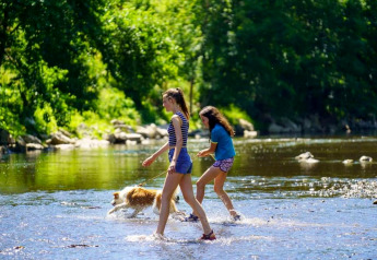 Twee meisjes en een hond spelen in ondiep water bij een glampinglocatie omgeven door groen bos.