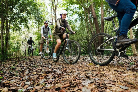 En gruppe mennesker cykler på en skovsti omgivet af træer under et ophold på et glampingsted.
