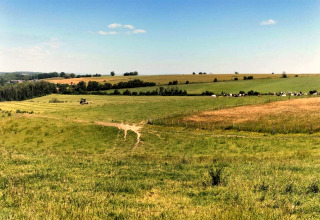 Vue pittoresque sur des champs et prairies verdoyants près d'un hébergement glamping sous ciel bleu.