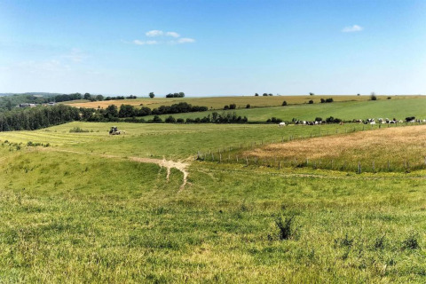 Smuk udsigt over bølgende marker og grønne enge ved et glamping-sted under en klar blå himmel.