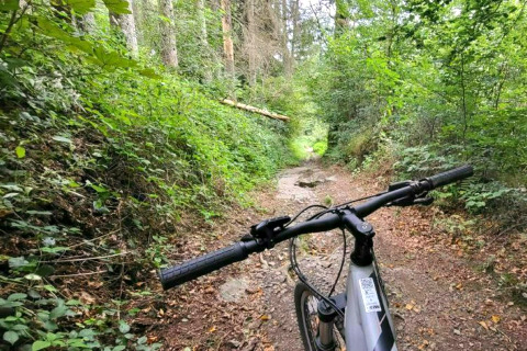 Chemin forestier à un hébergement glamping, avec guidon de vélo en premier plan et arbres verdoyants.