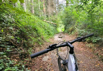 Fietsstuur op een bospad bij glamping accommodatie, omgeven door groene bomen en struiken.