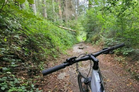 Cykelstihjørne i skoven ved glamping-indkvartering, omgivet af grønne træer og stier.
