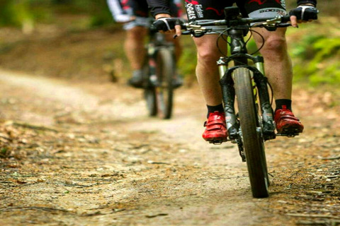Deux personnes roulent à vélo sur un sentier en forêt dans un hébergement de glamping.