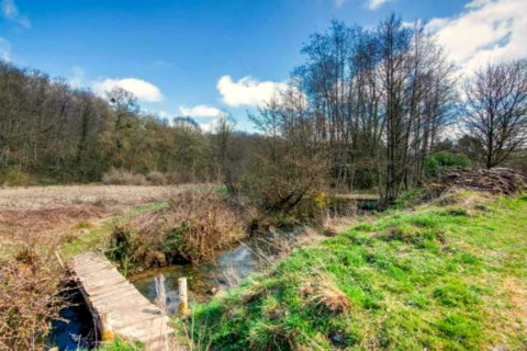 Vue champêtre avec un petit pont en bois sur un ruisseau près d’un hébergement en glamping.