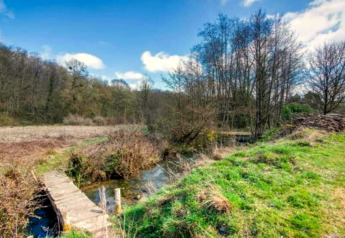 Landelijk uitzicht met een houten bruggetje over een beek bij een glampingaccommodatie.