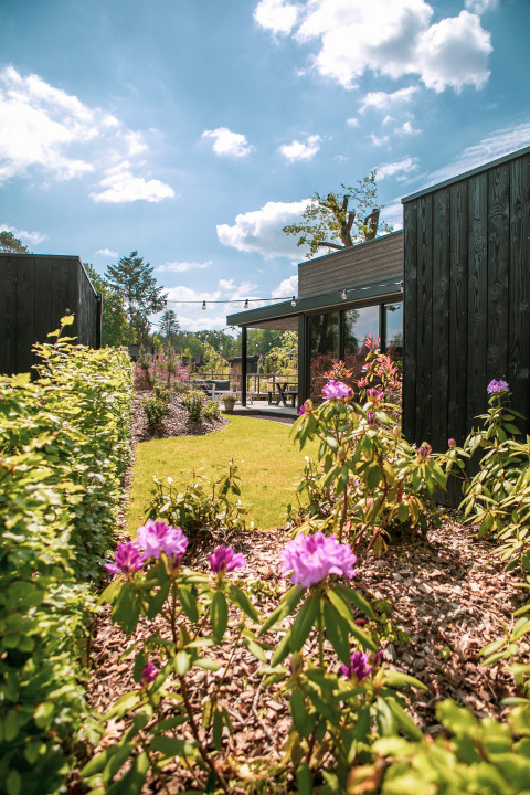 Tuin met bloeiende paarse bloemen, heg en moderne houten vakantiewoningen bij Soof Retreats, Utrecht.