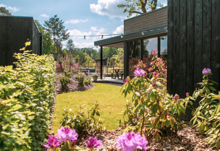 2-3 lodges together overview - Soof Heuvelrug - Rhenen, Utrecht, Netherlands