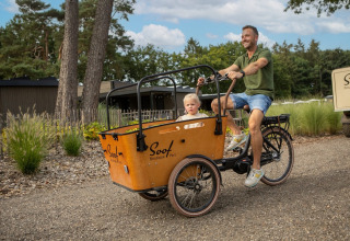 Bakfiets - Soof Heuvelrug - Rhenen, Utrecht, Países Bajos