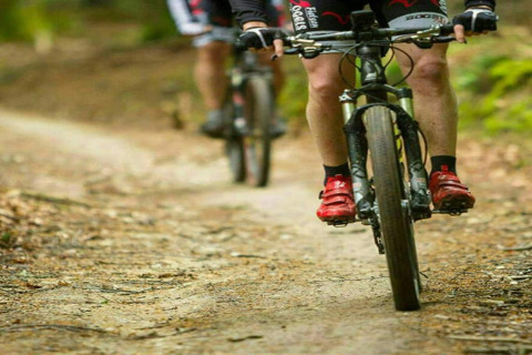To cyklister kører mountainbike på en skovsti nær lodgen La Ribambelle i Belgien, iført sportstøj.