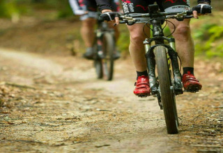 To cyklister kører mountainbike på en skovsti nær lodgen La Ribambelle i Belgien, iført sportstøj.