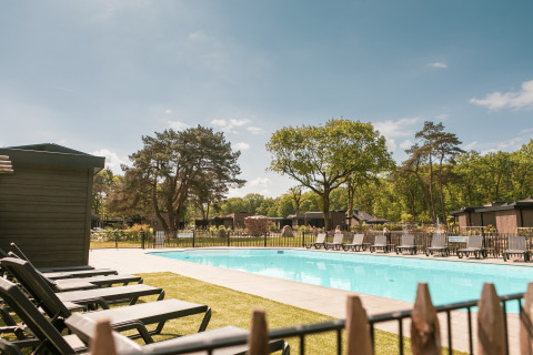Een zonnig zwembad met ligstoelen bij Soof Retreats vakantiepark, omgeven door bomen in Utrecht, Nederland.