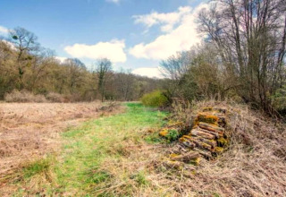 Espace herbeux près d’un lodge, tas de bois à droite et forêt en arrière-plan sous ciel bleu et nuages.