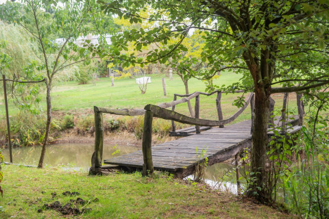 Een rustieke houten brug bij Le Bateau du Lac Privé in België, omgeven door groen en water.