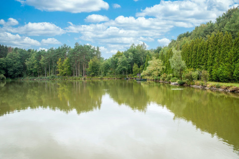 Uitzicht vanaf de woonboot Le Bateau du Lac Privé in België op een rustige vijver en groene bomen.