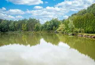 Uitzicht vanaf de woonboot Le Bateau du Lac Privé in België op een rustige vijver en groene bomen.