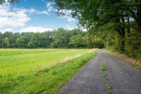 Grindweg langs een groen veld en bomen bij Le Bateau du Lac Privé woonboot in België.
