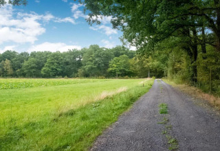 Grindweg langs een groen veld en bomen bij Le Bateau du Lac Privé woonboot in België.