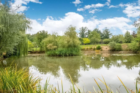 Prachtig uitzicht op een meer met groene bomen en blauwe lucht bij Le Bateau du Lac Privé in België.