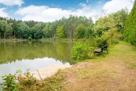 Rustig uitzicht op een meer met bomen en een bankje bij het water bij Le Bateau du Lac Privé in België.
