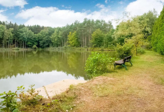 Rustig uitzicht op een meer met bomen en een bankje bij het water bij Le Bateau du Lac Privé in België.