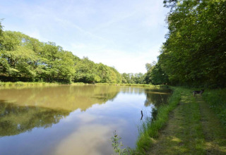 Rustig uitzicht op het meer bij Le Bateau du Lac Privé in België, met bomen en een graspad erlangs.