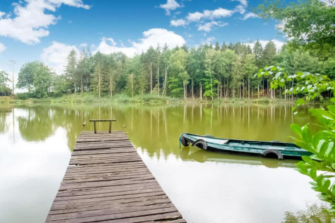 Houten steiger aan een rustig meer met groene roeiboot, omgeven door bos en blauwe lucht in België.