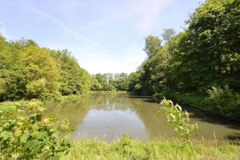Uitzicht op een rustige vijver omgeven door groene bomen bij het woonboot Le Bateau du Lac Privé in België.