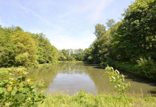 Uitzicht op een rustige vijver omgeven door groene bomen bij het woonboot Le Bateau du Lac Privé in België.