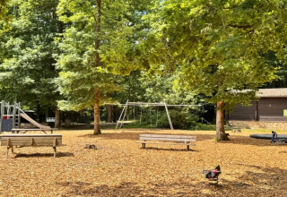 Parque infantil junto al chalet 'OREE DU BOIS' en Bélgica, con columpios, tobogán y bancos rodeados de árboles.