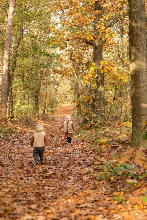 Niños en el bosque - Soof Heuvelrug - Rhenen, Utrecht, Países Bajos