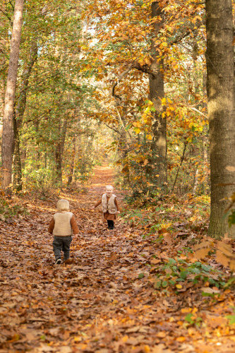 Enfants dans les bois - Soof Heuvelrug - Rhenen, Utrecht, Pays-Bas
