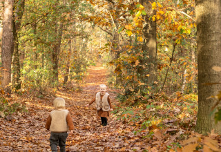 Enfants dans les bois - Soof Heuvelrug - Rhenen, Utrecht, Pays-Bas