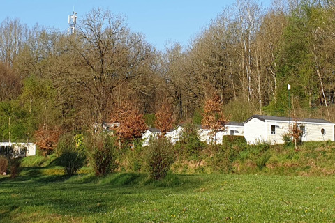 Case mobili presso Holiday Park Ardinam 1 in Belgio, circondate da boschi verdi e cielo sereno e limpido.