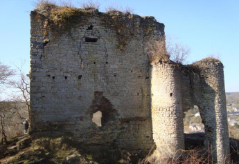 Ruins of an old stone structure with plants growing on top, seen at Holiday Park Ardinam 1 in Belgium.