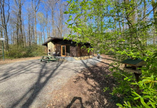 Chalet LIJSTERNEST en Belgique entouré d’arbres, table de pique-nique et nichoir au cœur de la forêt.