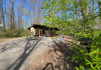 Chalet LIJSTERNEST in Belgio, circondato da alberi, con tavolo da picnic e casetta per uccelli nel bosco.