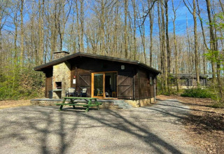 Chalet « LIJSTERNEST » en Belgique au cœur de la forêt, avec table de pique-nique et terrasse ensoleillée.
